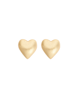 Privacy Earring