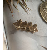 Hard Leaves Brooch